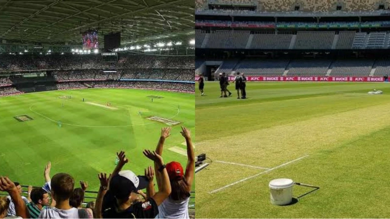 Docklands Stadium, Melbourne Pitch Report , Docklands Stadium, Melbourne पिच रिपोर्ट & रिकॉर्ड & जानकारी